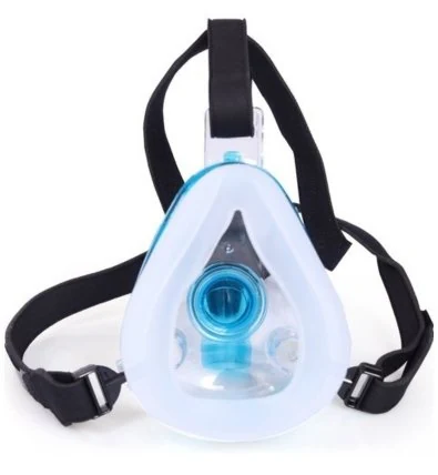 NIV Mask — source product photograph